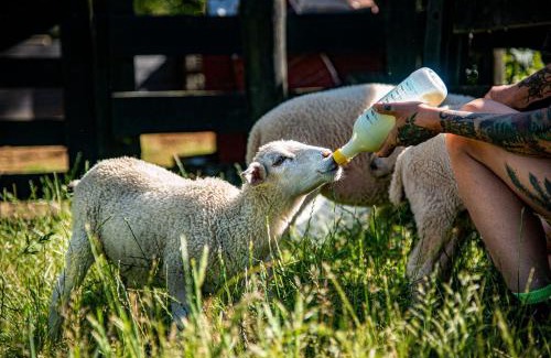 Waihi House | Riverstone Acres