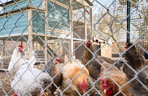 Riverton Apartment | Riverton Retreat 10 Mi to Thanksgiving Point!