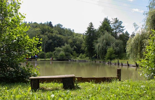 Presika Other | Robinson camp "Zeleni mir"