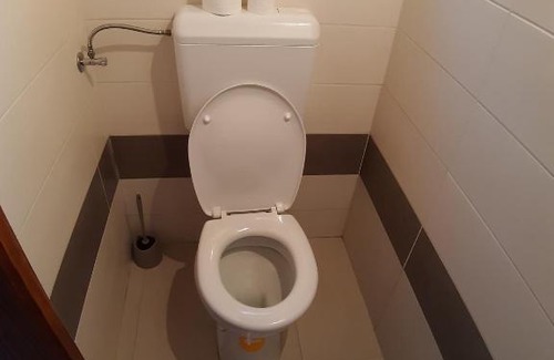 Presika Other | Robinson camp "Zeleni mir"