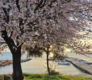 Dobropoljana House | Robinson House Mimo