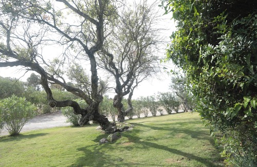 Sant'Antioco Apartment | rocce antiche resort