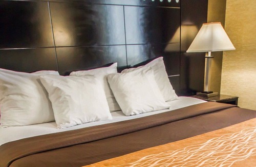 Norwood Hotel | Rodeway Inn Bronx Zoo