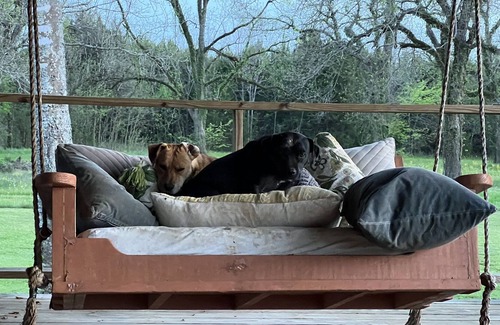 Faunsdale Cabin | Rolling Meadows Countryside Cabin, Pets Welcome!