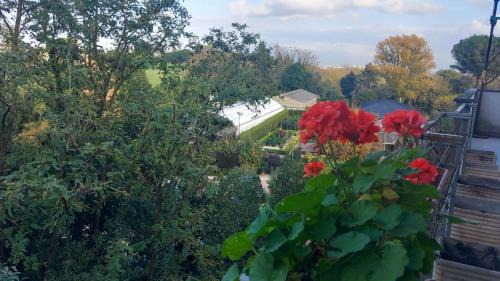 Cassia Bed & Breakfast | Roma Capitale B&B