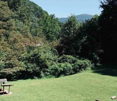 Roan Mountain Ski Chalet | Romantic Chalet w/Hot Tub close to Roan Mountain