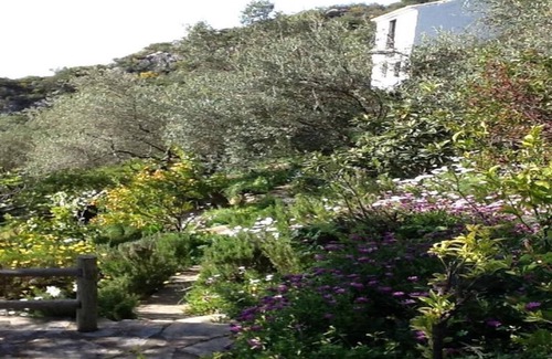 Casares House | Romantic cottages with lovely pool, winding pathways amid lush tropical gardens.
