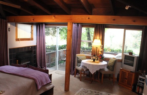 Northwood Cottage | Romantic Getaway in Russian River; Dog Friendly!