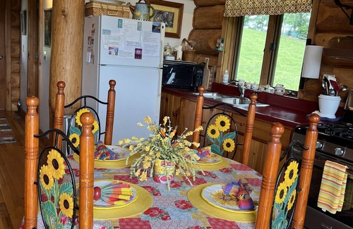 Leicester Cabin | ROMANTIC LOG CABIN OPEN FOR BUSINESS MT.VIEWS, 2/1,10 MIN AVL, FP,WiFi, FIREPIT