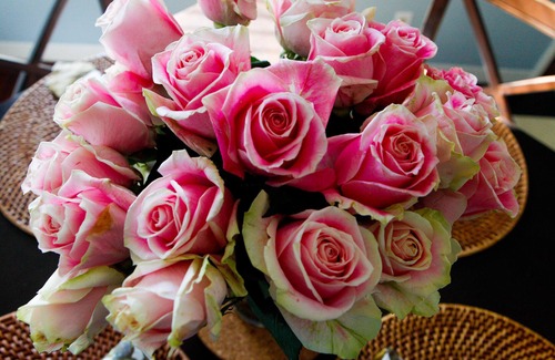 The Strand Cottage | Romantic Nostalgic Cottage