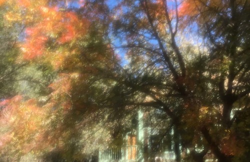 Three Rivers House | Romantic Three Rivers River Craftsman