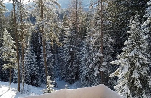 Newport Apartment | Romantic Treehouse Getaway with Peaceful Mountain Views!