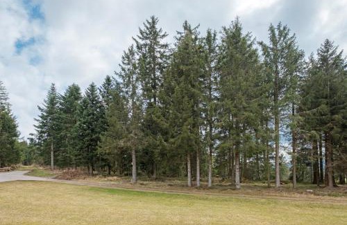 Waldau Apartment | Rombachs Ruheckle