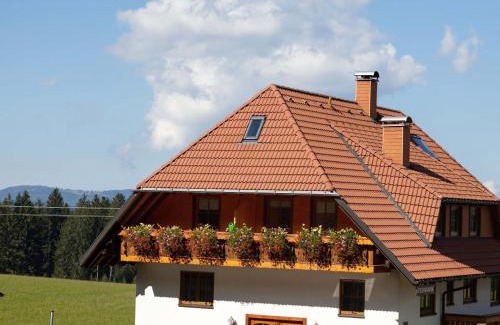 Waldau Apartment | Rombachs Ruheckle