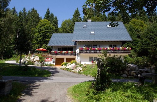 Blasiwald Apartment | Room 'Double Room' with Mountain View, Shared Terrace and Wi-Fi