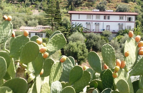 Gioiosa Marea House | Room-michelangelo House, Bilo