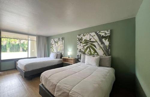 Kissimmee Apartment | Room private near Disney