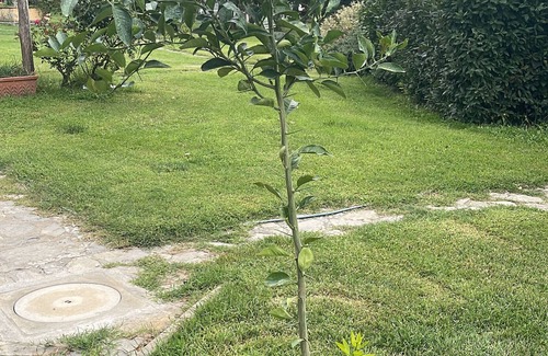 Sassetta Apartment | Room 'Santa Lorica - Camera 14' with Shared Pool, Shared Garden and Wi-Fi