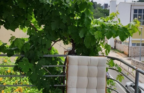 Cove Tri Zala (Zrnovo) Apartment | Room with the view - Blue