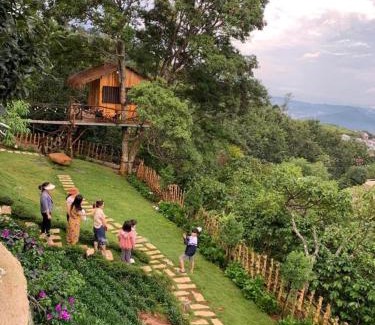 Da Lat Hotel | Rosa Homestay