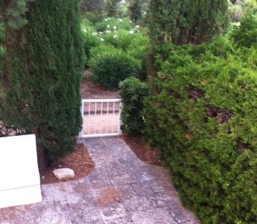 Rosa Marina House | Rosa Marina Frontline Beach