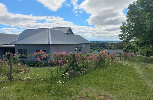 Rosetta House | Roscommon Guest House