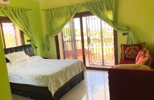 Casablanca Other | Rose Dream Farm