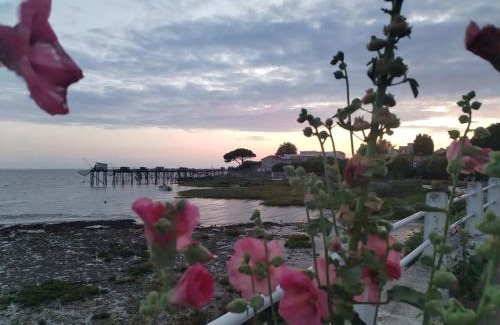 Fouras House | Rose Pompon