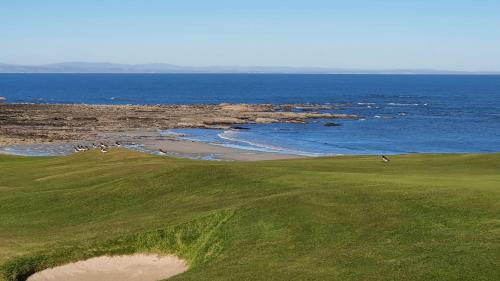 Crail Apartment | Roseford Apartment