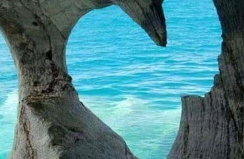 Trappeto Apartment | Rosy's Apartments