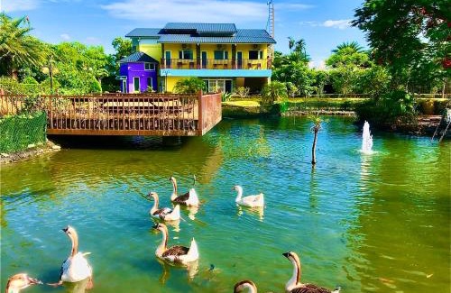 Ruisui Bed & Breakfast | Ruisui Palm Lakes B&B