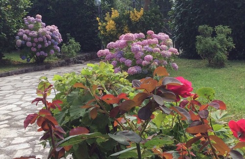 Castel San Niccolo House | Rural family house in the Casentino with exclusive pool & gardens. Pet friendly