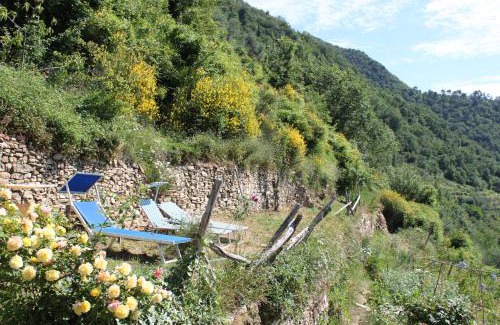 Badalucco House | Rural house