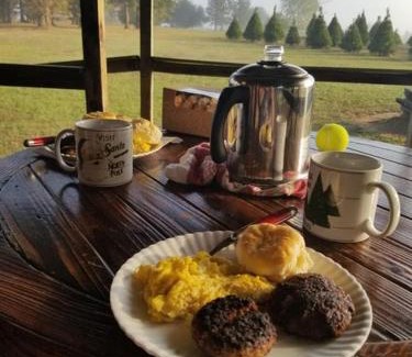 Cecil House | Rural life on a real Christmas tree farm! Hallmark experience!