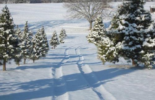 Cecil House | Rural life on a real Christmas tree farm! Hallmark experience!