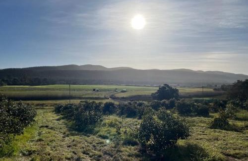 Knysna Ski Chalet | Rushmere Cottage