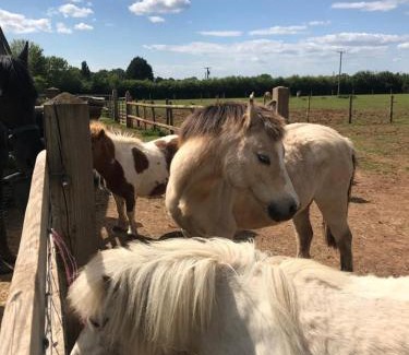 Coalpit Heath Apartment | Russet