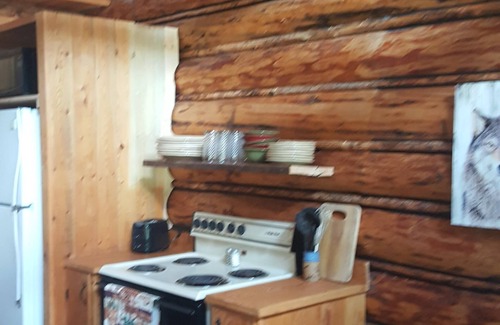 Condon Cabin | Rustic cabin hidden among the pines.