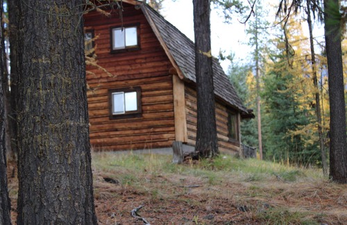 Condon Cabin | Rustic cabin hidden among the pines.