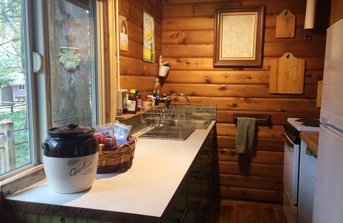 Gold Bar Cabin | Rustic Cedar Cabin on the River beneath Mt Index with intimate Hot Tub