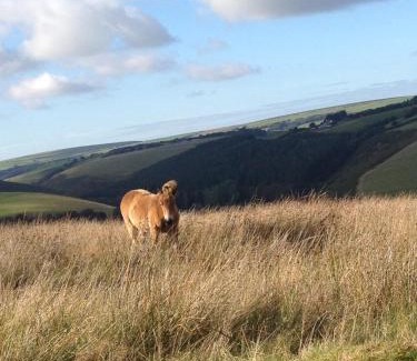 Exmoor National Park Other | Rustic rural retreats