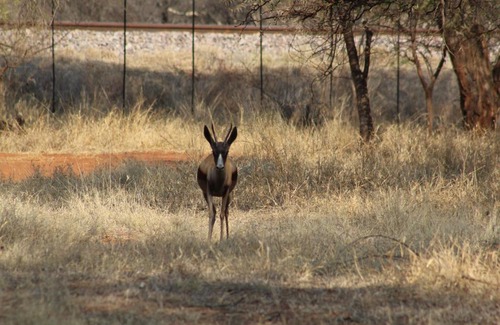 Thabazimbi Cabin | Rustic Stone Lodge