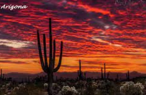 Estrella Village Other | Rustic studio minutes from Phoenix, Glendale & Scottsdale