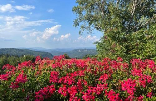 Kupjak Villa | Rustic villa Roza with outdoor pool in Kupjak