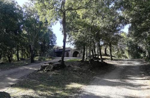 Massa Marittima Apartment | Rustico in un parco di lecci