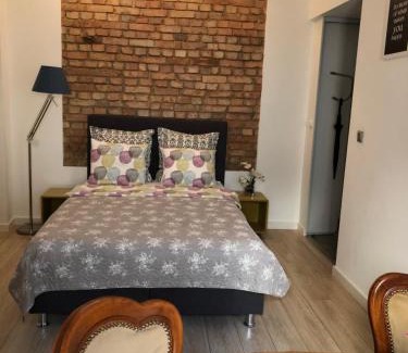 Poznan City Center Apartment | Rybaki 28