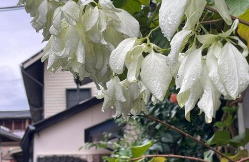 Bang Phra Hotel | Rynn