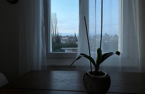 Mies Apartment | Séjour calme près du Léman