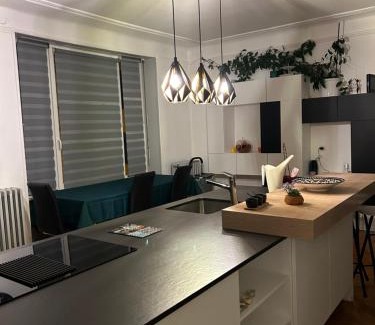 Thann Apartment | Séjour entre ville et montagnes Appartement 100m2