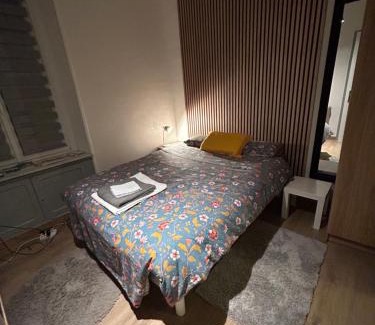 Thann Apartment | Séjour entre ville et montagnes Appartement 100m2